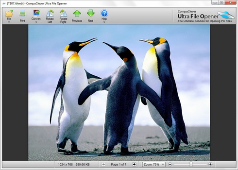 ImageViewer_Resize